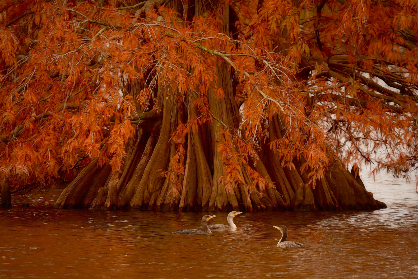 Scenic Trees Category Honorable Mention #3: